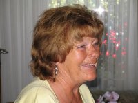 das zu meldende Bild