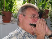 das zu meldende Bild