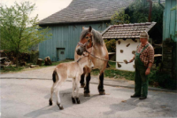 ein Bild aus dem Album