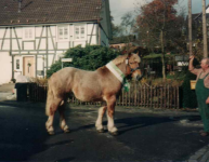 ein Bild aus dem Album