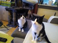 ein Bild aus dem Album